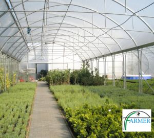 Ząbkowice Śląskie