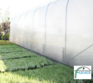 Ząbkowice Śląskie