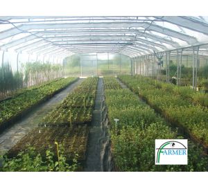 Baranów Sandomierski