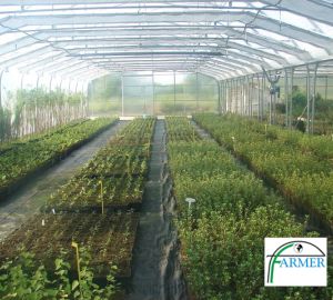 Baranów Sandomierski