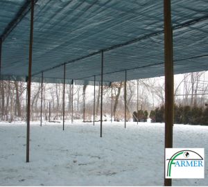 Czechowice Dziedzice