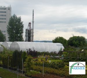 Ząbkowice Śląskie