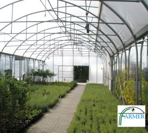 Ząbkowice Śląskie