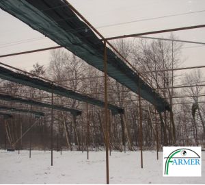 Czechowice Dziedzice