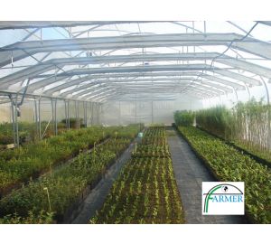 Baranów Sandomierski