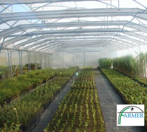 Baranów Sandomierski