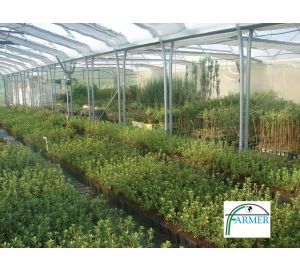 Baranów Sandomierski