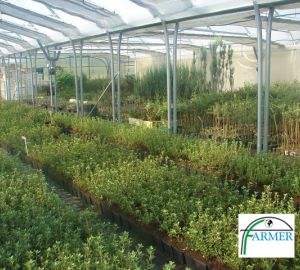 Baranów Sandomierski