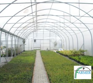 Ząbkowice Śląskie