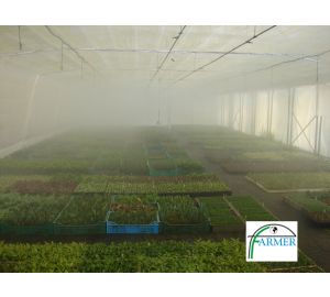 Baranów Sandomierski