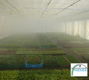 Baranów Sandomierski