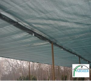 Czechowice Dziedzice