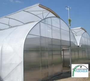 Baranów Sandomierski