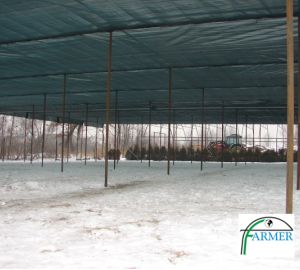 Czechowice Dziedzice