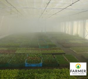 Zamlžovací systémy