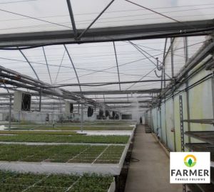 Zamlžovací systémy