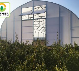 Одинарные туннели