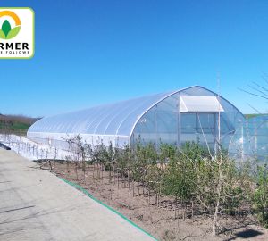 Одинарные туннели