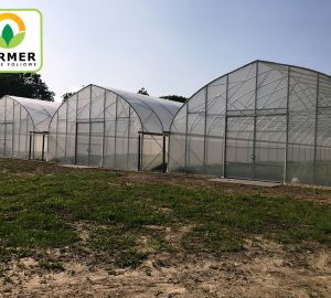 Одинарные туннели