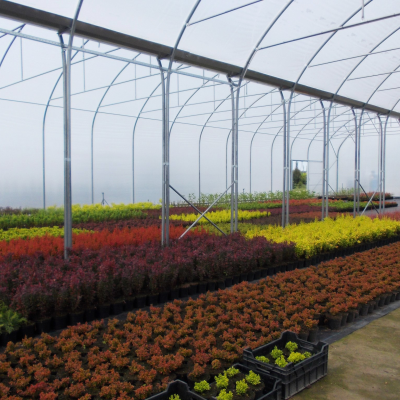 uprawy-pod-oslonami-zima