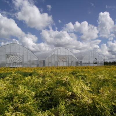 tunel-z-folia-podwojna-pompowana