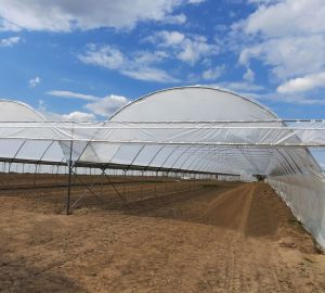 Tunele i Bloki Foliowe Lekkie