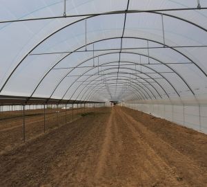 Tunele i Bloki Foliowe Lekkie