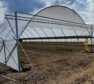 Tunele i Bloki Foliowe Lekkie