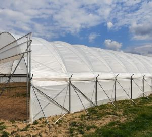 Tunele i Bloki Foliowe Lekkie