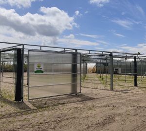 Nagynyomású permetező