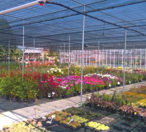 Nagynyomású permetező