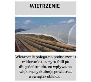 Tunele i Bloki Foliowe Lekkie