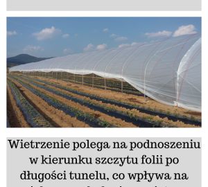 Tunele i Bloki Foliowe Lekkie