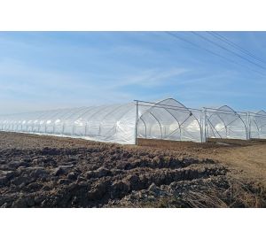 Tunele i Bloki Foliowe Lekkie