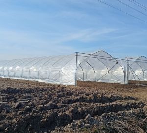 Tunele i Bloki Foliowe Lekkie