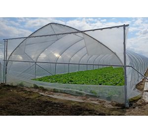 Tunele i Bloki Foliowe Lekkie