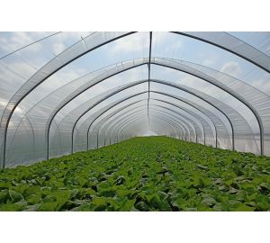 Tunele i Bloki Foliowe Lekkie