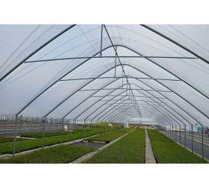 Tunele i Bloki Foliowe Lekkie