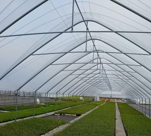 Tunele i Bloki Foliowe Lekkie