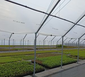 Tunele i Bloki Foliowe Lekkie