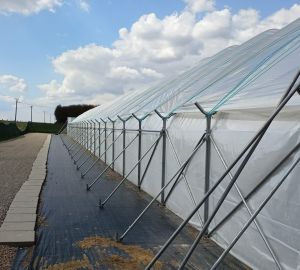 Tunele i Bloki Foliowe Lekkie