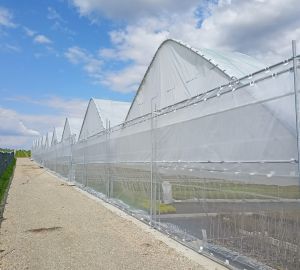 Tunele i Bloki Foliowe Lekkie