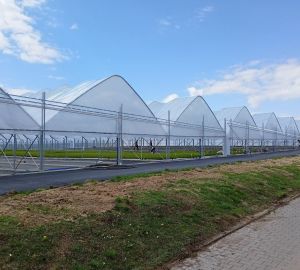 Tunele i Bloki Foliowe Lekkie