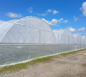 Tunele i Bloki Foliowe Lekkie