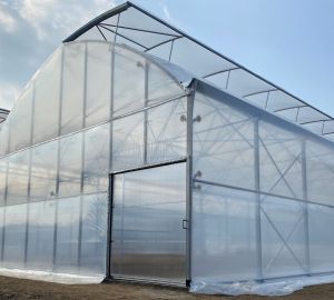 Tunele i Bloki Foliowe Całoroczne