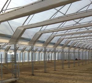 Árnyékoló rendszerek