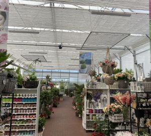 Centra Ogrodnicze