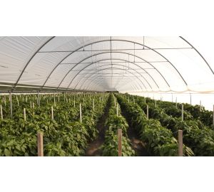 Tunele i Bloki Foliowe Lekkie