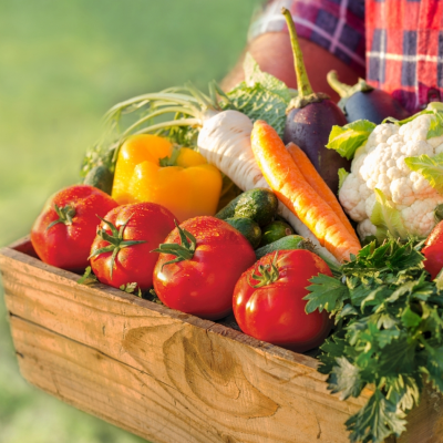 tunel-przydomowy-do-ogrodka-dlaczego-warto