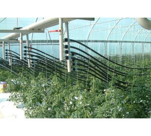 Ogrzewanie Tunelu Foliowego